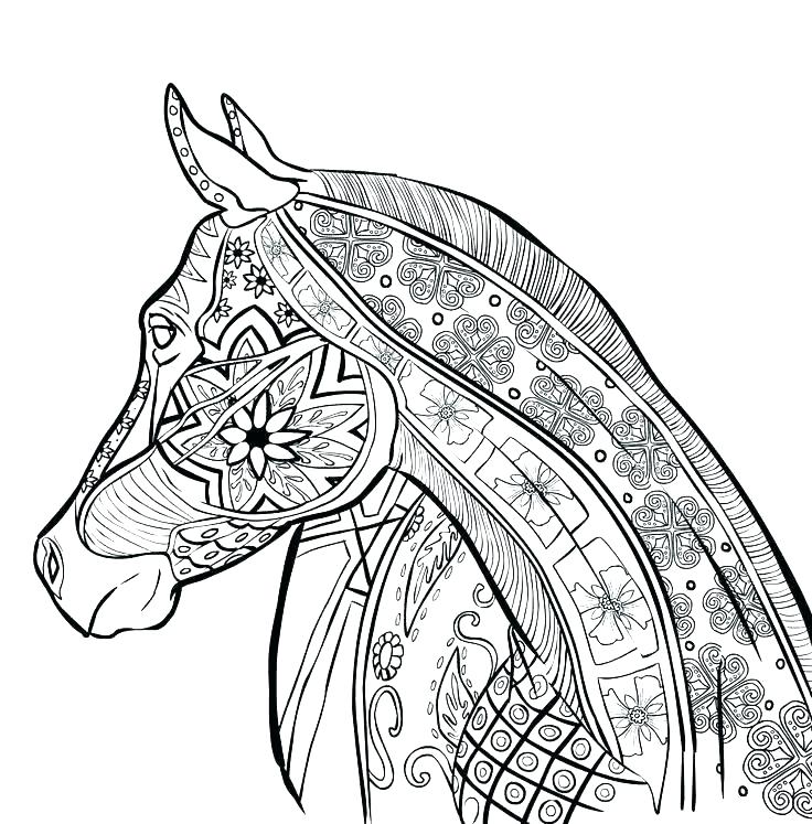 Cool Coloring Pages For Adults 736x747 Cool Coloring Pages For Adults