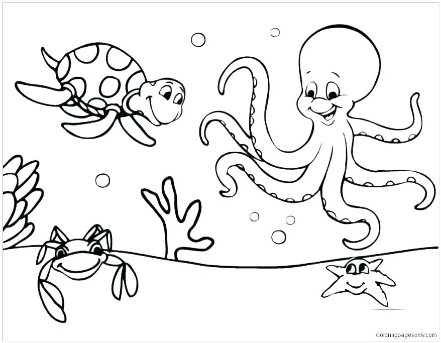 Ocean Animals Coloring Pages Icontent 878x683 Ocean Animals Coloring Pages Icontent