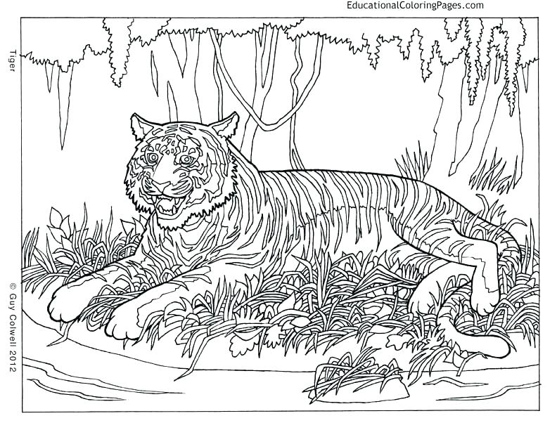 Extremely Hard Coloring Pages Vanda 792x612 Extremely Hard Coloring Pages Vanda
