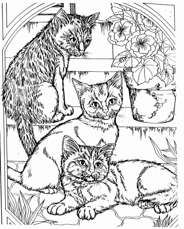 Cool Cat Coloring Pages at GetColorings.com | Free printable colorings ...