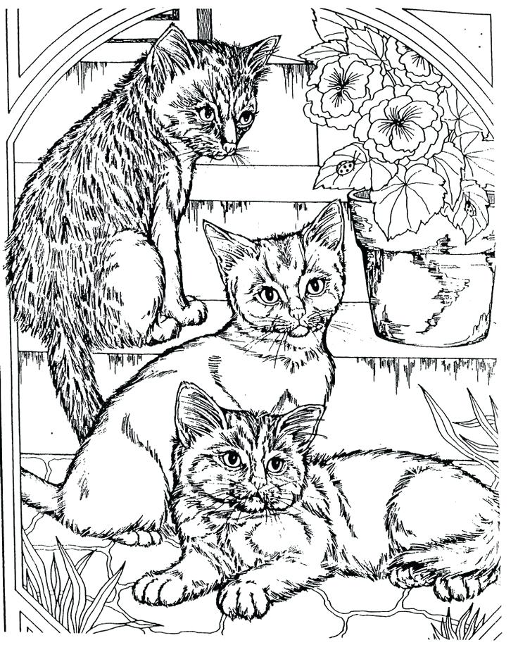 736x916 Free Coloring Pages Teenagers Unique Free Coloring Pages