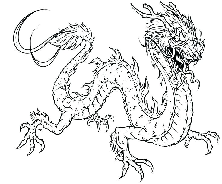 736x610 The Ancestors Of Dragons Coloring Pages Best Mythical Dragon