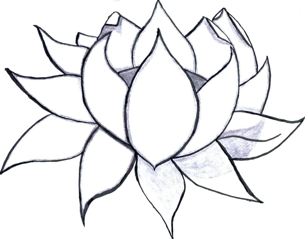 974x765 Cool Flower Coloring Pages Easy Coloring Pages Of Flowers Cool