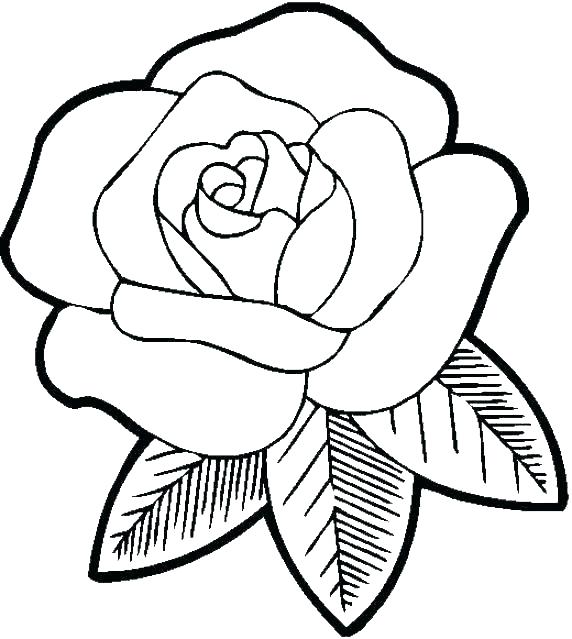 Cool Flower Coloring Pages Easy Coloring Pages Of Flowers Cool 572x639 Cool Flower Coloring Pages Easy Coloring Pages Of Flowers Cool