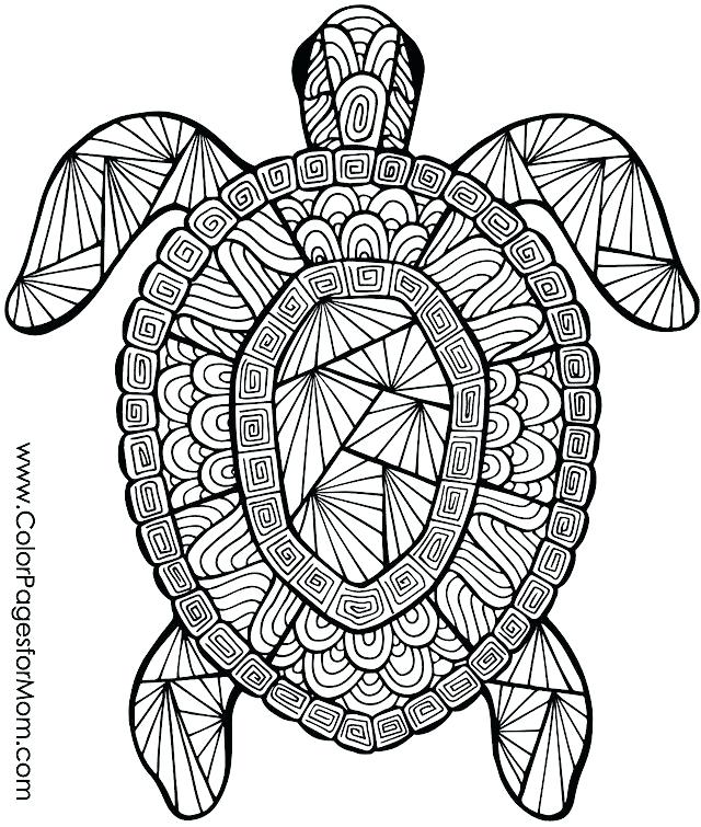 Animal Design Coloring Pages Sumptuous Design Coloring Pages 640x755 Animal Design Coloring Pages Sumptuous Design Coloring Pages