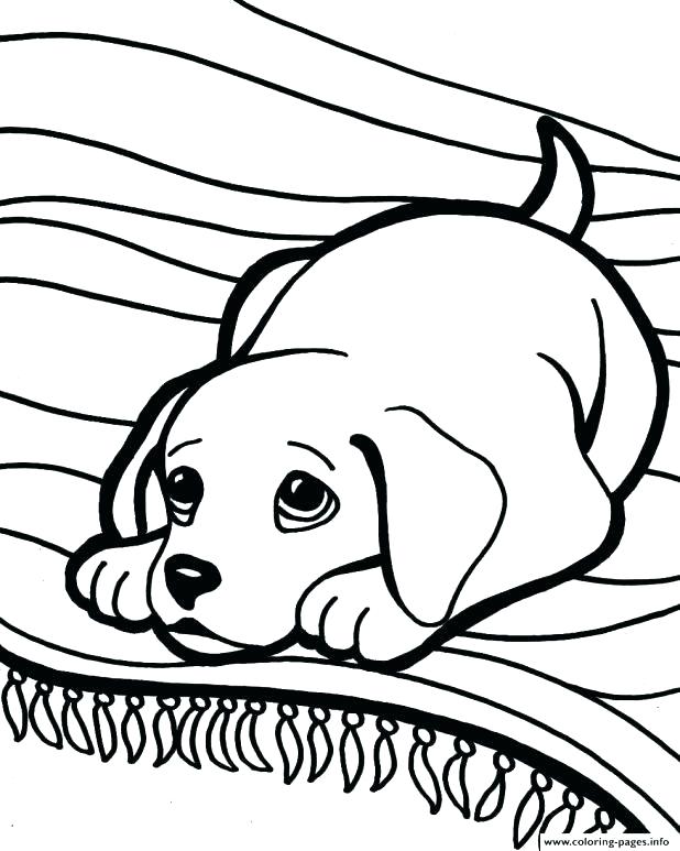 618x773 Free Printable Dog Coloring Pages Free Printable Dog Coloring