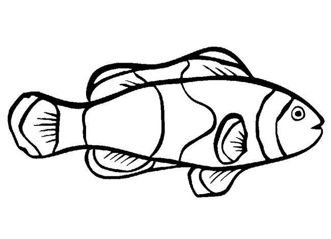 Fish Template Free Printable, Pdf Documents Download! Free 650x469 Fish Template Free Printable, Pdf Documents Download! Free