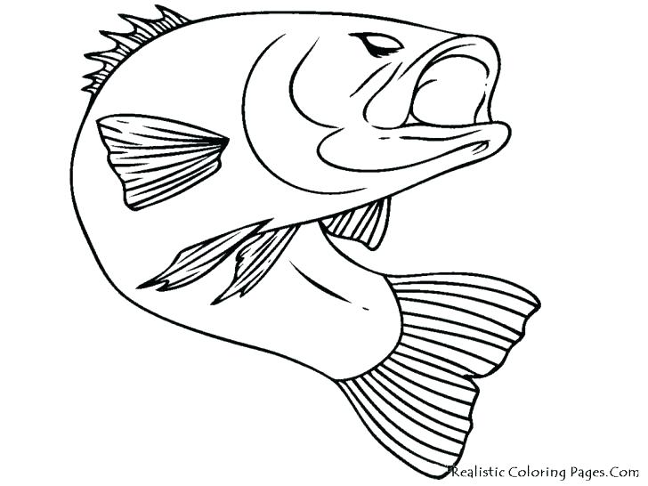 Fishing Coloring Pages Ocean Fish Coloring Pages Bass Fish 728x546 Fishing Coloring Pages Ocean Fish Coloring Pages Bass Fish