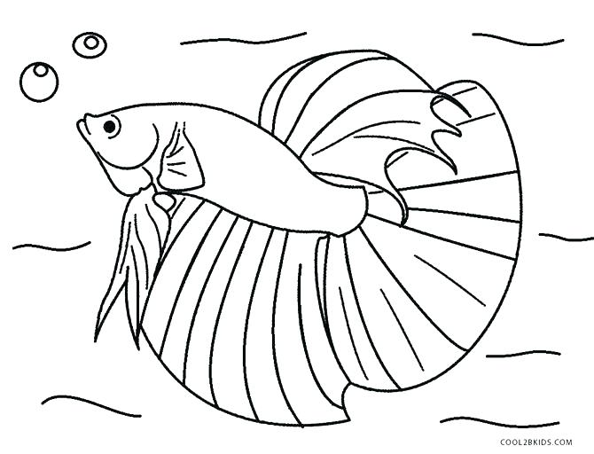 Ocean Fish Coloring Pages Ocean Fish Coloring Sheets 670x512 Ocean Fish Coloring Pages Ocean Fish Coloring Sheets