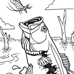 Top 92 Fishing Coloring Pages 250x250 Top 92 Fishing Coloring Pages