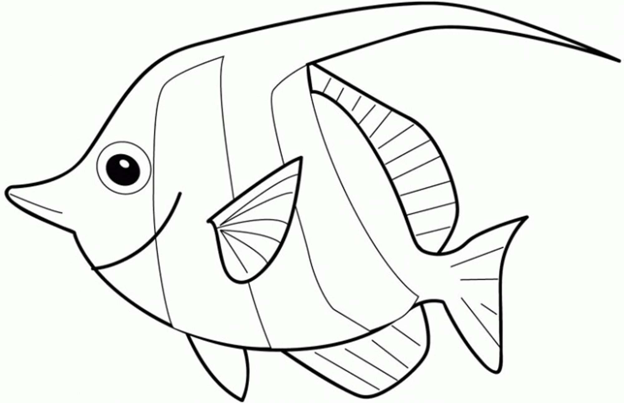 Rainbow Fish Coloring Page 2000x1291 Rainbow Fish Coloring Page