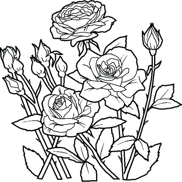 Cool Flower Coloring Pages at GetColorings.com | Free printable ...