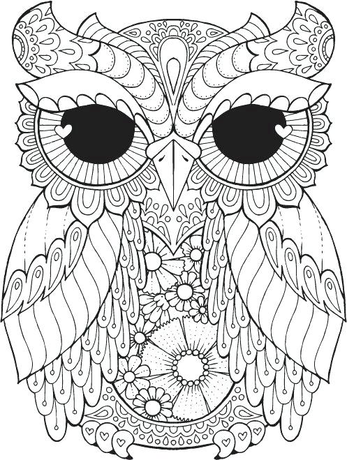 497x659 Owl Coloring Pages Entrancing Cute Owl Coloring Pages