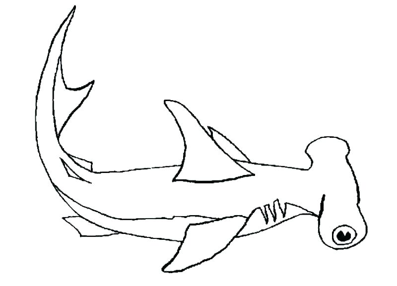 800x577 Great White Shark Coloring Pages Shark Coloring Pages Great White