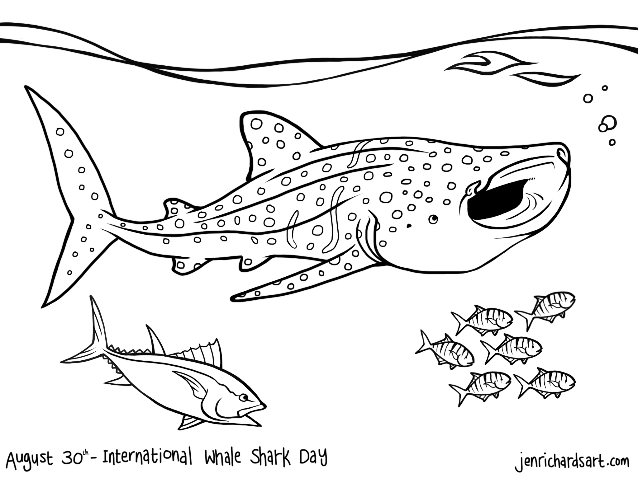 2048x1536 Perfect Whale Shark Coloring Page Best Gallery Design Ideas 7076