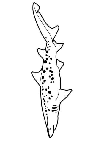 360x480 Sand Tiger Shark Types Coloring Page
