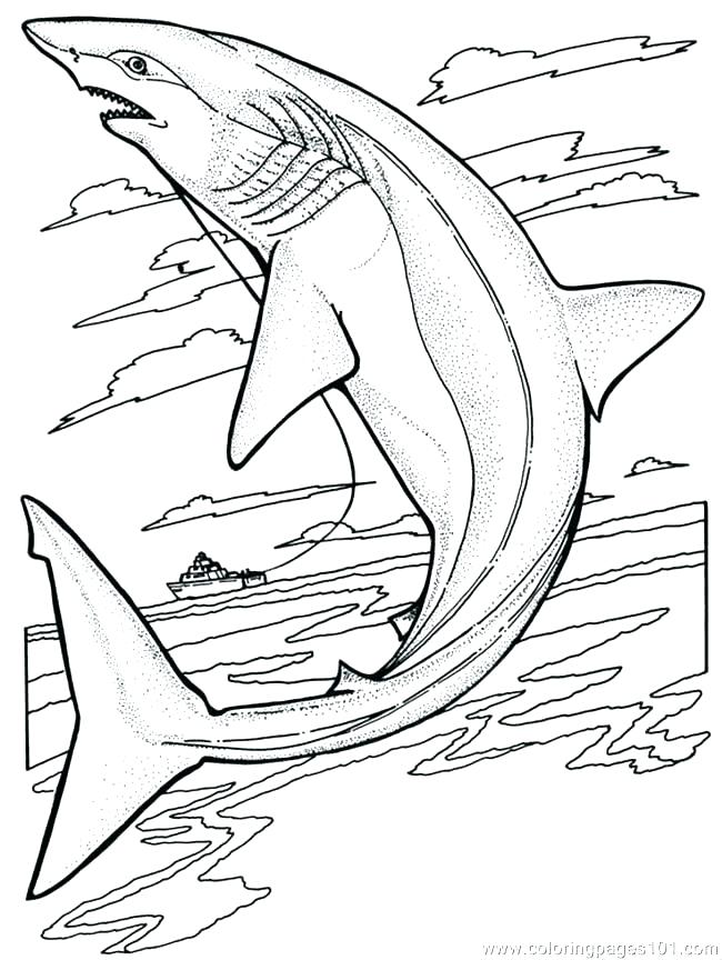 650x864 Whale Shark Coloring Page Shark Coloring Book Together