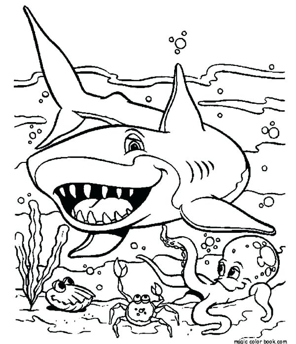 600x699 Coloring Pages Shark Sea Shark Coloring Pages To Print Out