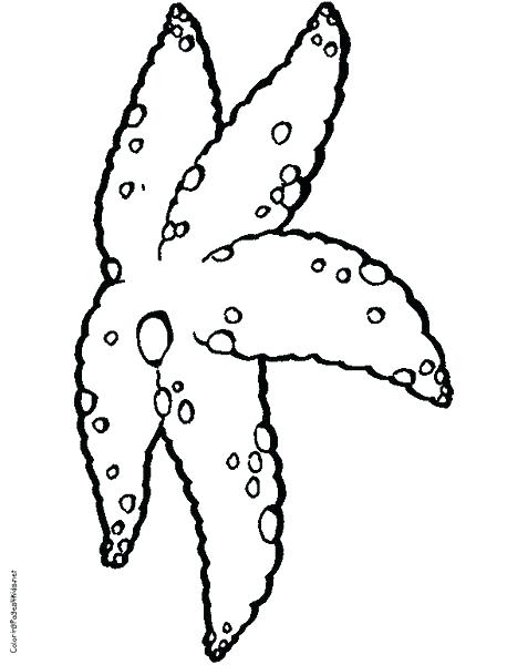 Cool Sea Star Coloring Page Star Fish Coloring Page Starfish 477x600 Cool Sea Star Coloring Page Star Fish Coloring Page Starfish
