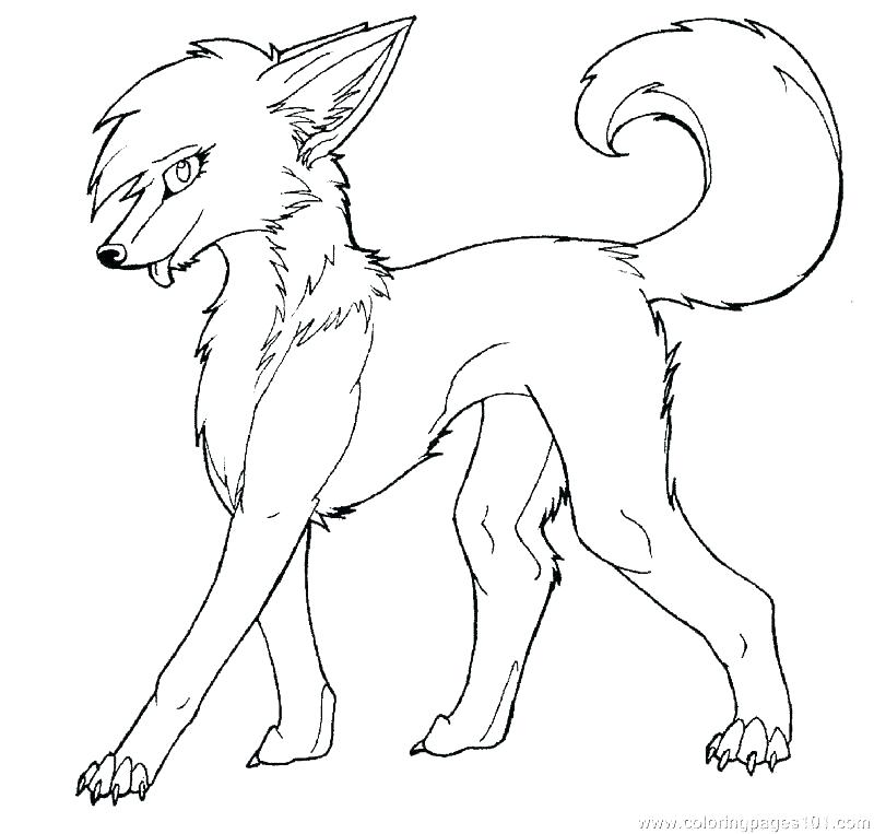 800x763 Coloring Pages Wolves Wolf Coloring Pages Two Wolves Coloring Page
