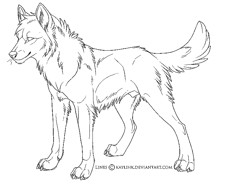800x600 Cool Wolf Coloring Pages Color Bros