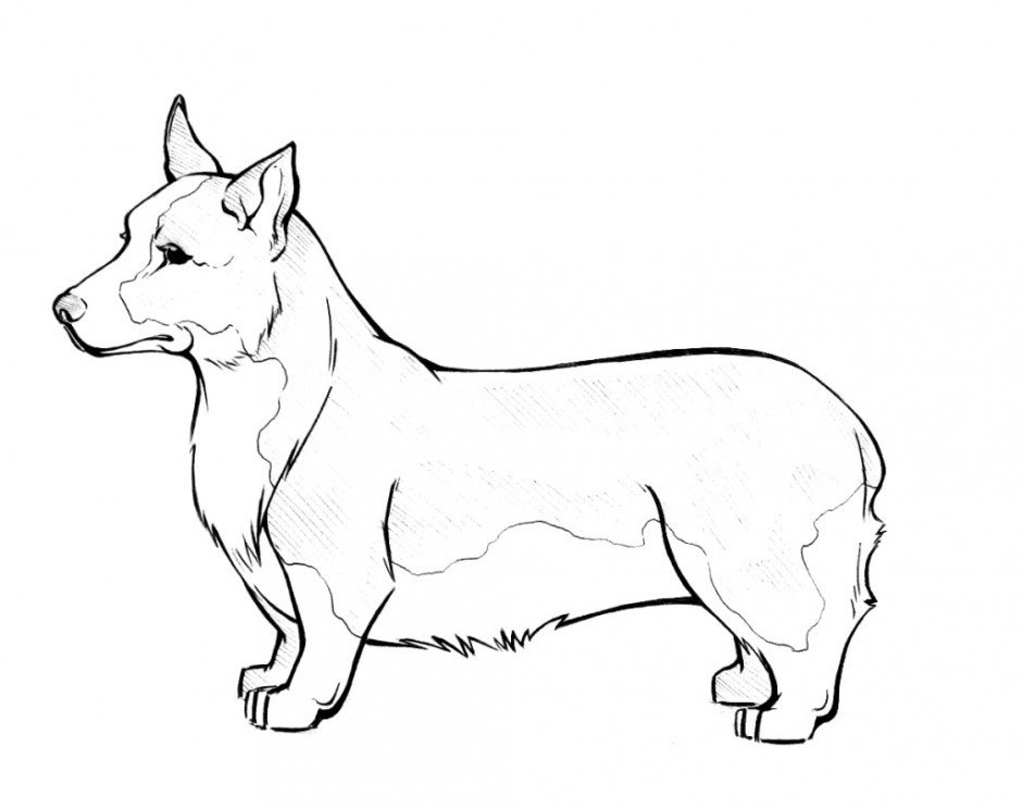 940x743 Basset Hound Coloring Pages Many Interesting Cliparts