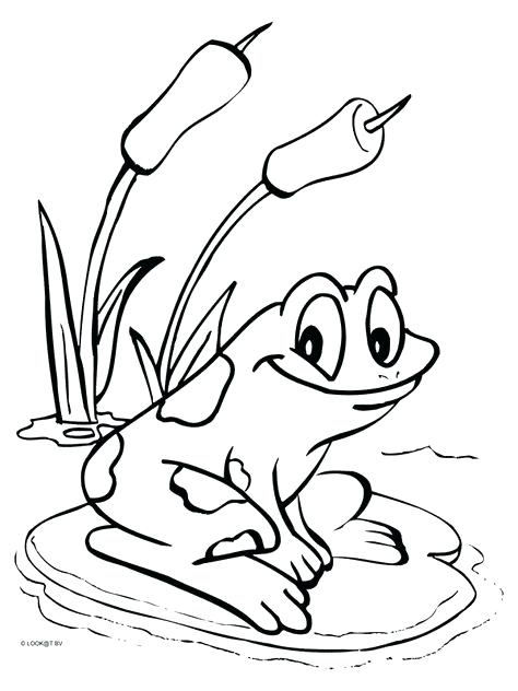 474x632 Coqui Coloring Page Coloring Pages Colouring Pages World Thinking
