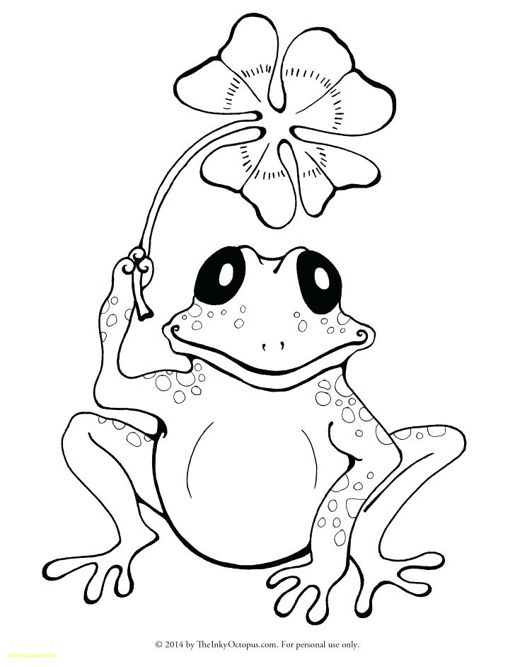 728x942 Coqui Coloring Page Coloring Pages Frog With Printable Of Picture