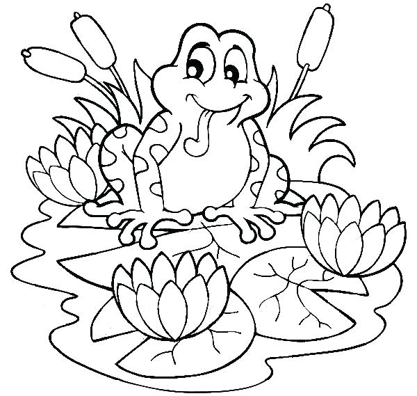 600x569 Coqui Coloring Page Frog Lily Pad Coloring Page Preschool
