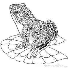236x236 Coqui Frog Coloring Page Printables Frogs