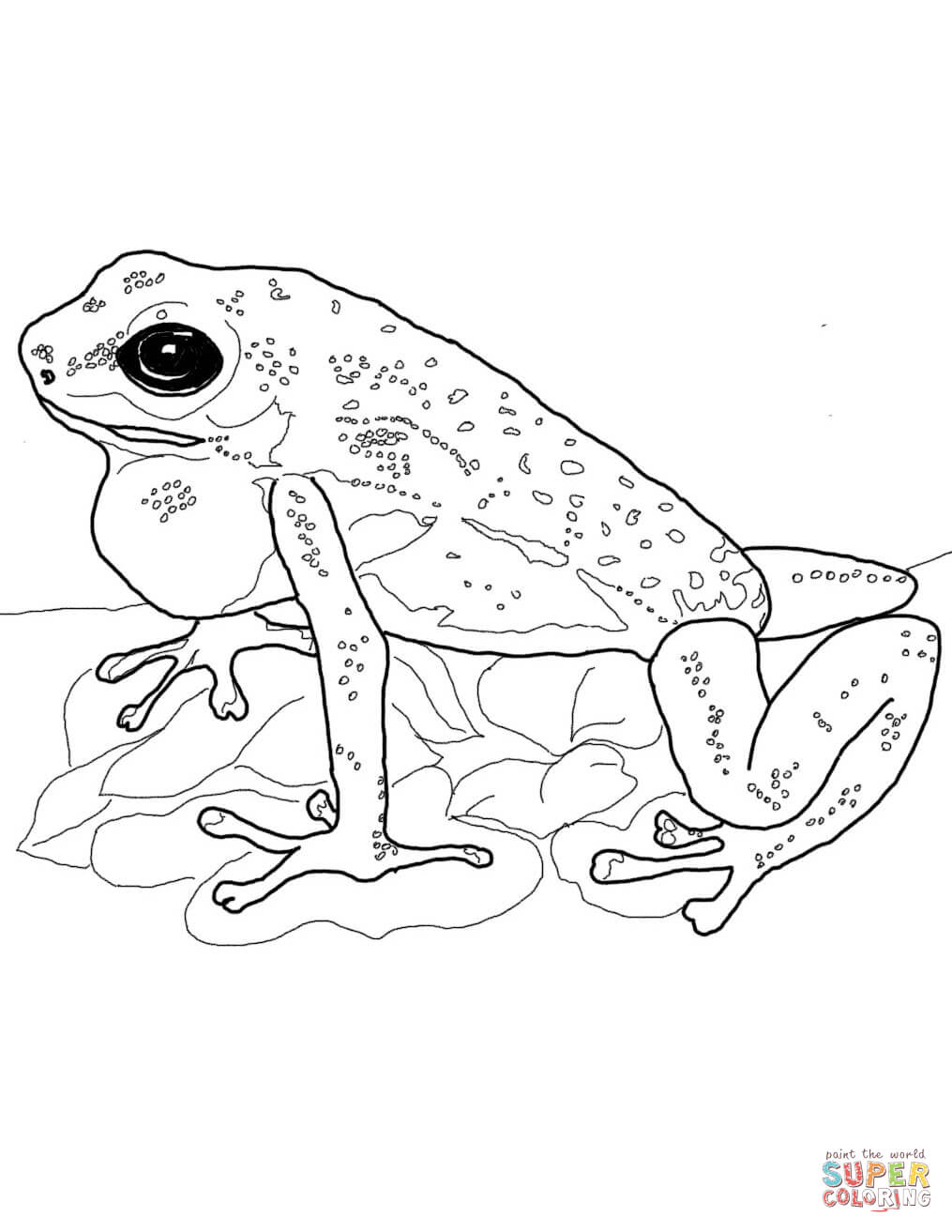 1015x1313 Free Printable Frog Coloring Pages And Coqui Page