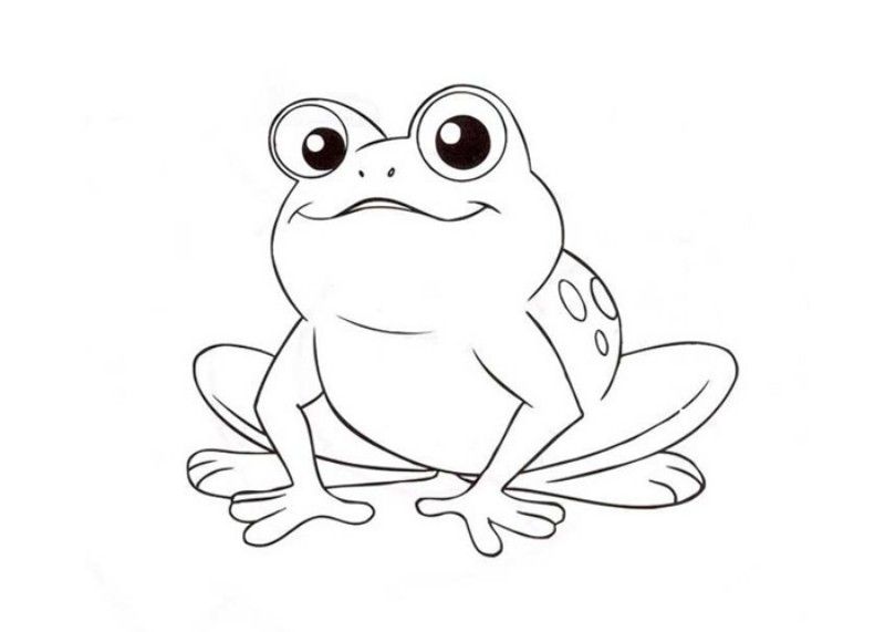 800x571 Beautiful Coloring Pages Of Frogs Free For All Animal Vista