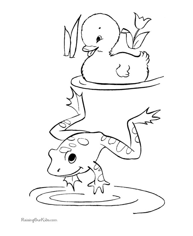 670x820 Blank Frog Coloring Sheet