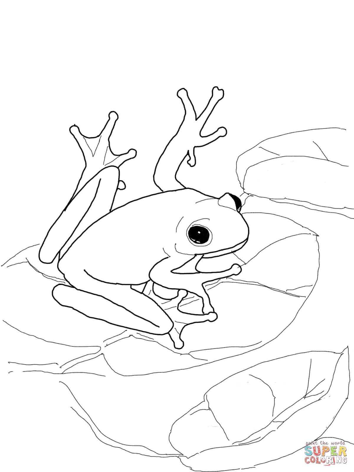 1200x1600 Coqui Coloring Page Duam