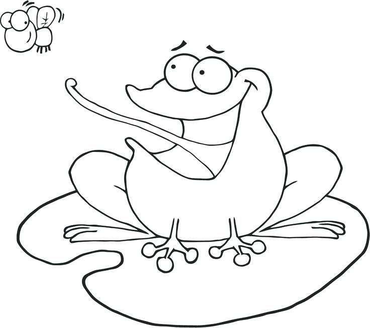 736x654 Coqui Coloring Page Bug Art Animal Splat Stamps To Color Pin By