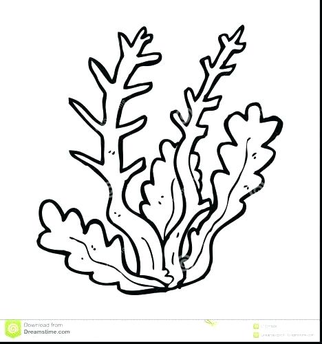 Coral Coloring Pages Coloring Page Coral Reef Coloring Pages Coral 468x500 Coral Coloring Pages Coloring Page Coral Reef Coloring Pages Coral