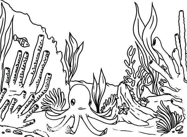Coral Nature Printable Coloring Pages Coloring Page Coral Nature 600x441 Coral Nature Printable Coloring Pages Coloring Page Coral Nature
