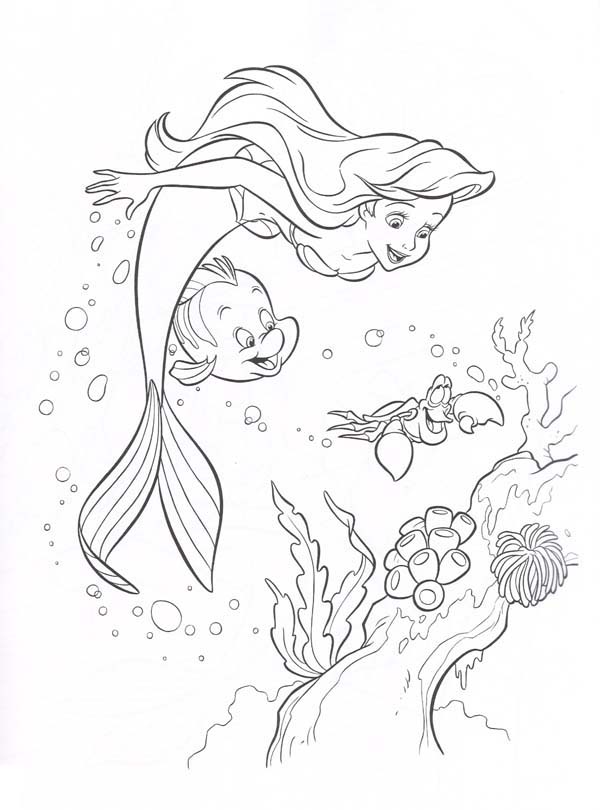 Coral Reef Coloring Pages Ariel Little Mermaid And Friends Looking 600x810 Coral Reef Coloring Pages Ariel Little Mermaid And Friends Looking
