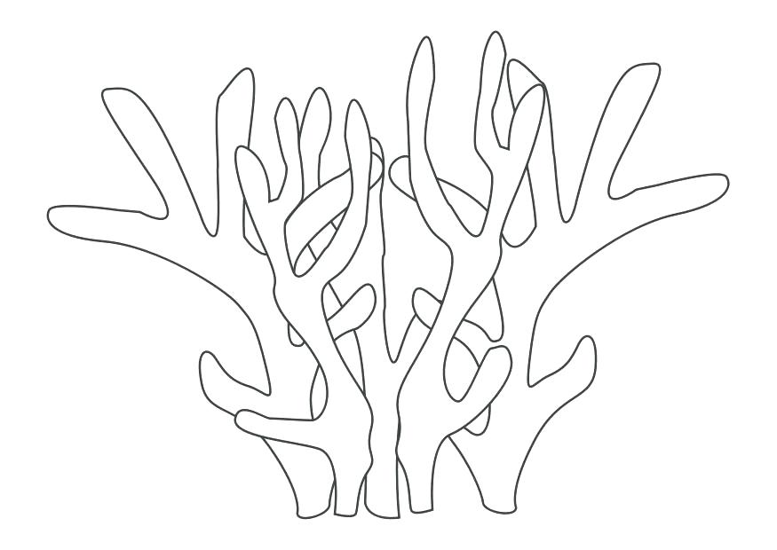 Coral Reef Coloring Pages Coral Coloring Pages Elegant Coral Reef 875x620 Coral Reef Coloring Pages Coral Coloring Pages Elegant Coral Reef
