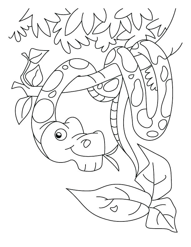 Mesmerizing Coral Coloring Page Coloring Pages Snakes New Year 612x792 Mesmerizing Coral Coloring Page Coloring Pages Snakes New Year