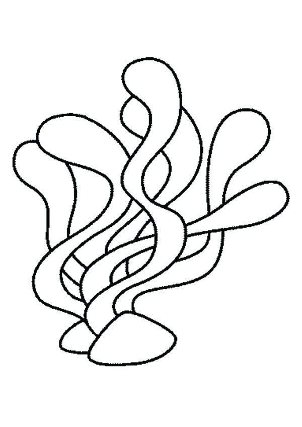 Seaweed Coloring Pages Seaweeds Coloring Page Seaweed And Coral 600x849 Seaweed Coloring Pages Seaweeds Coloring Page Seaweed And Coral