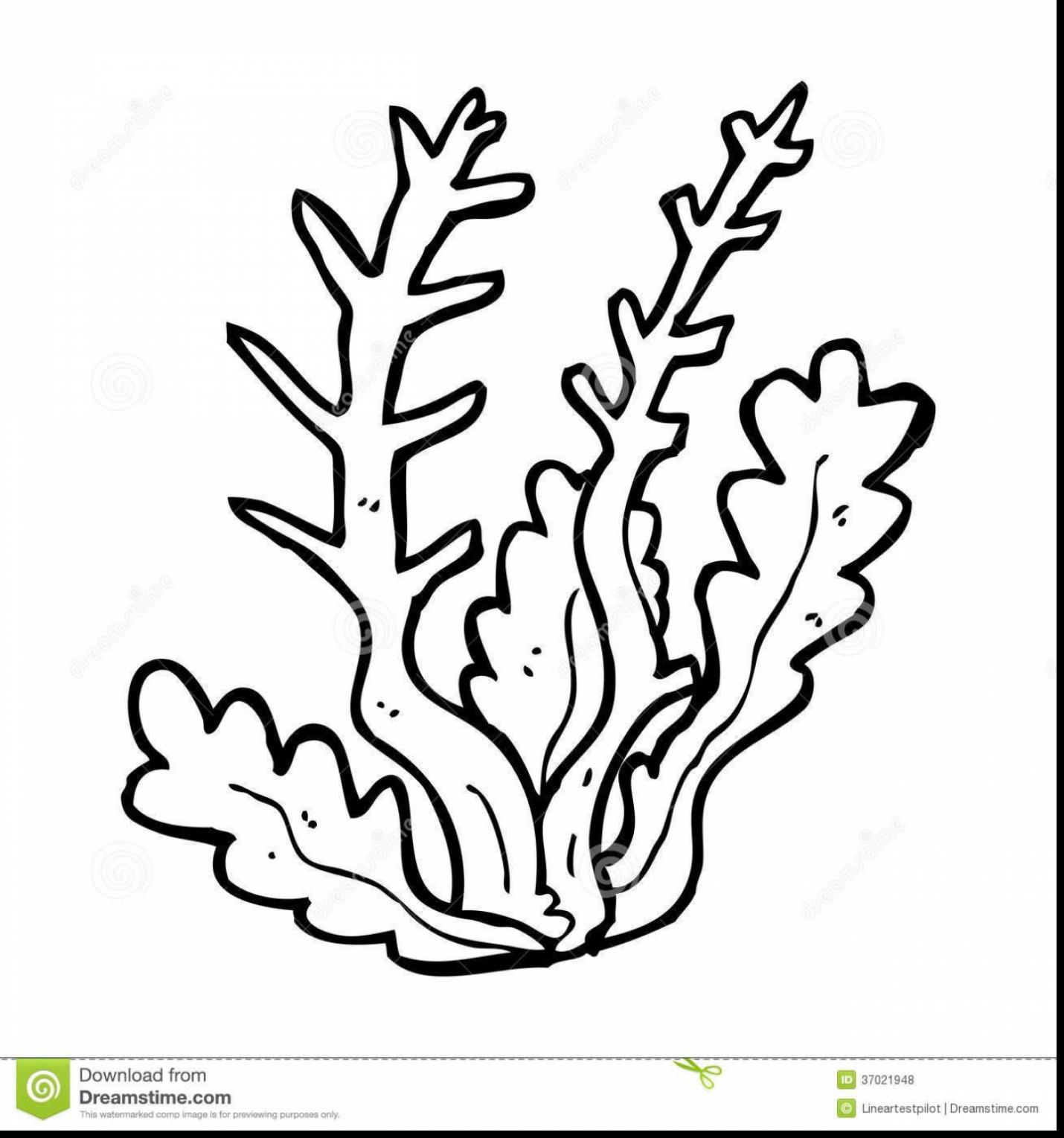 Colorful Coloring Pages Of Coral Reefs Drawn R 1430x1529 Colorful Coloring Pages Of Coral Reefs Drawn R