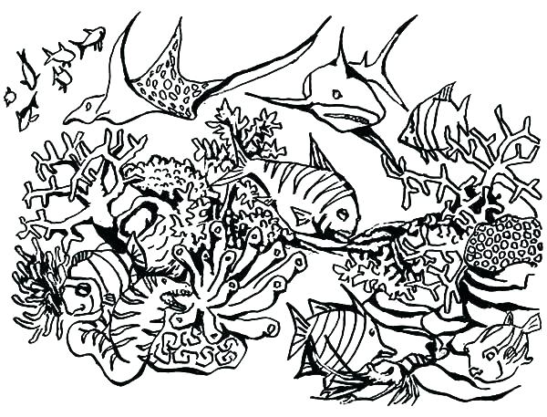 Coral Reef Coloring Page Coral Reef Coloring Pages Coral Reef 600x457 Coral Reef Coloring Page Coral Reef Coloring Pages Coral Reef
