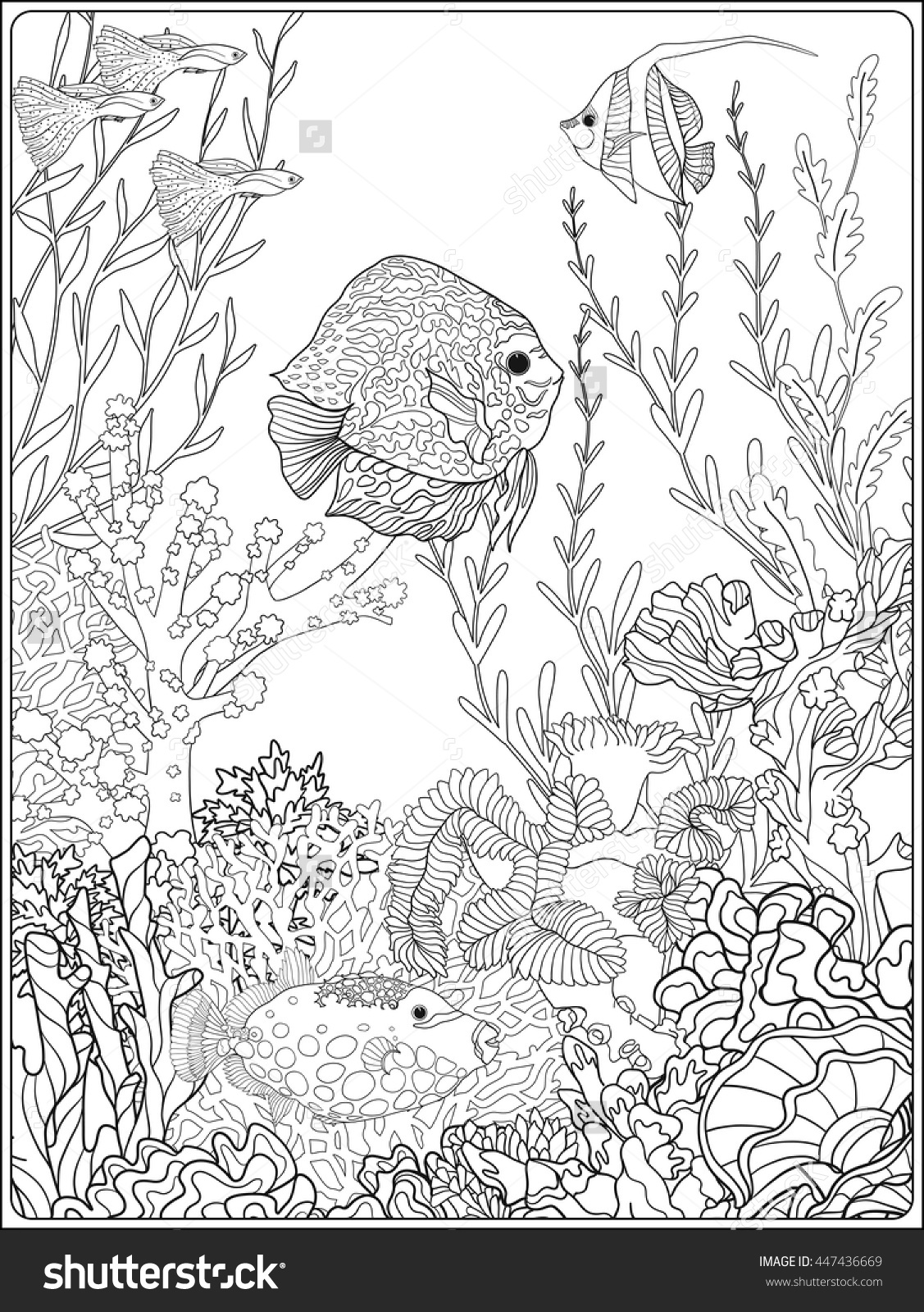 Adult Coloring Book. Coloring Page With Underwater World Coral 1127x1600 Adult Coloring Book. Coloring Page With Underwater World Coral