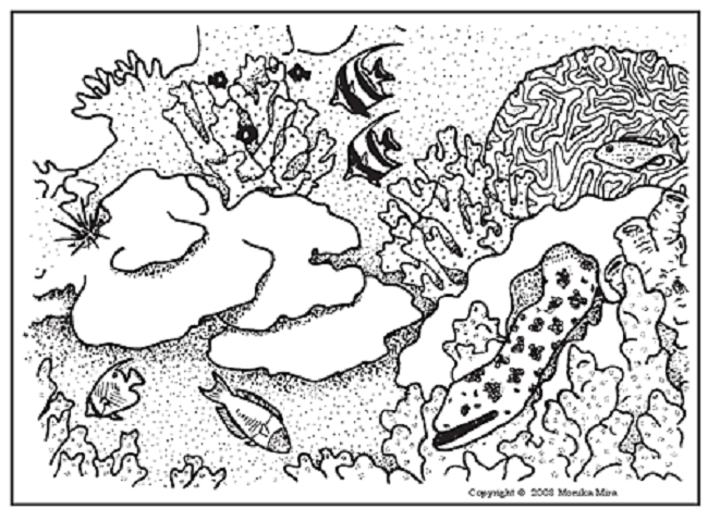 Coral Reef Coloring Pages To Print Coloring Pages 650x468 Coral Reef Coloring Pages To Print Coloring Pages