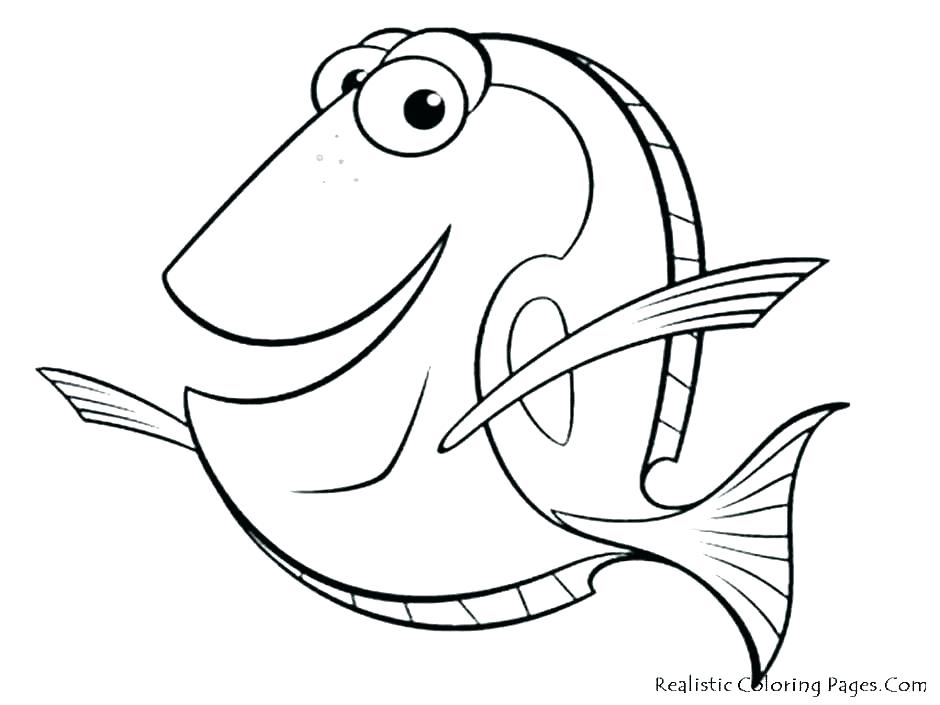 Coral Reef Coloring Sheet Coral Reef Coloring Page Pages Sheet 940x705 Coral Reef Coloring Sheet Coral Reef Coloring Page Pages Sheet