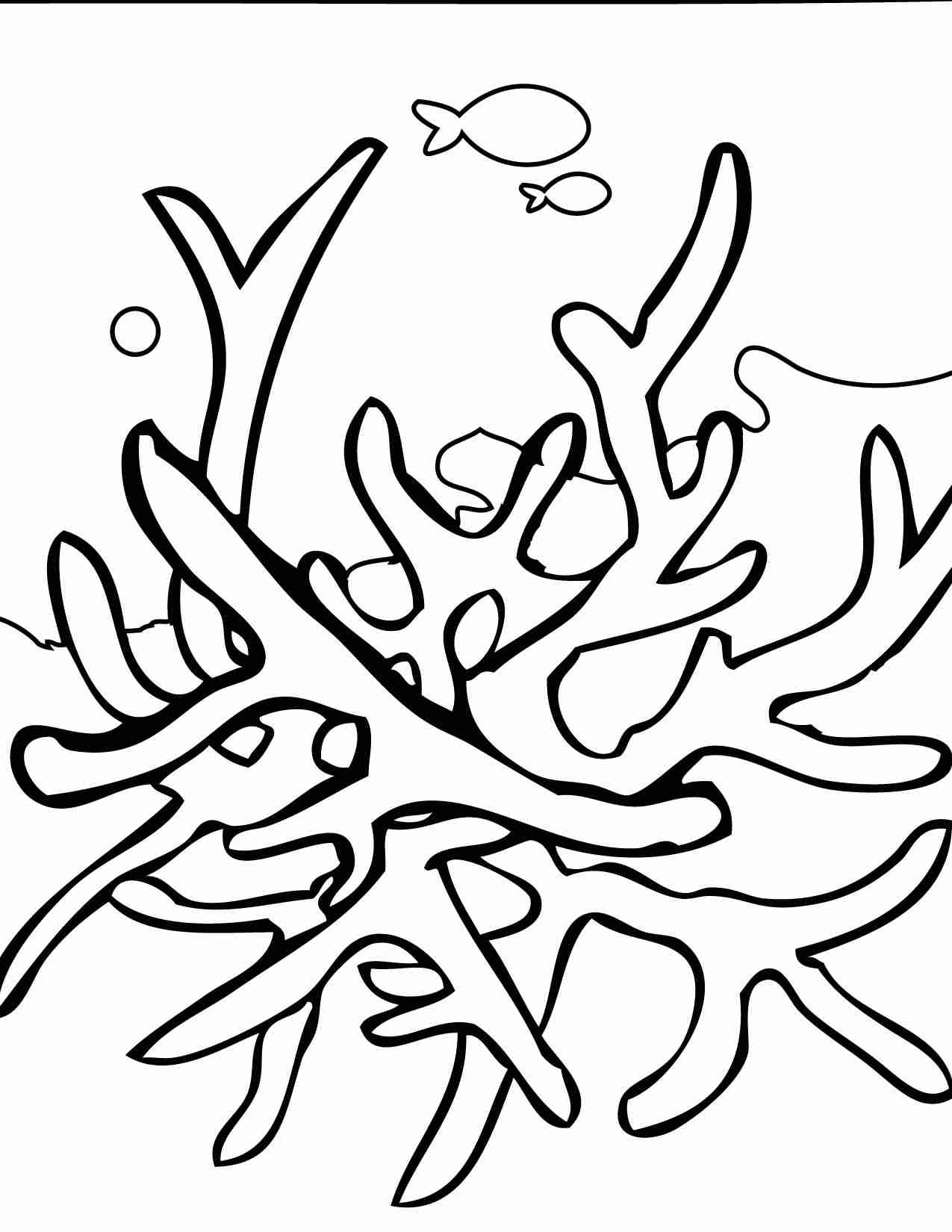 Find Fish Hidden In The Coral Reef Coloring Page Free Printable 1275x1650 Find Fish Hidden In The Coral Reef Coloring Page Free Printable