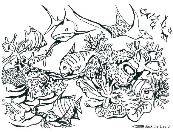 Reef Coloring Pages Coral Reef Coloring Page Coral Reef Coloring 580x442 Reef Coloring Pages Coral Reef Coloring Page Coral Reef Coloring
