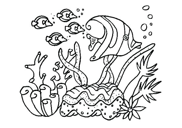 Snake Coloring Page Coral Coloring Page Coral Reef Coloring Pages 600x422 Snake Coloring Page Coral Coloring Page Coral Reef Coloring Pages