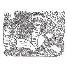 Top 10 Coral Coloring Pages For Toddler 230x230 Top 10 Coral Coloring Pages For Toddler